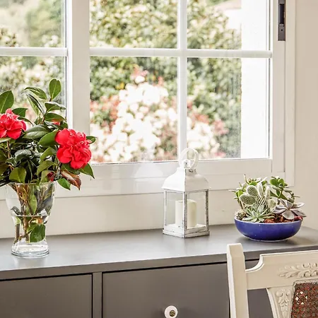 Holiday home Luxury Singular Rosa Padron