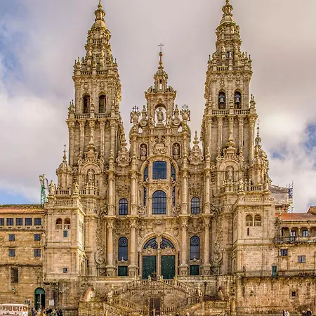 Luxury Singular Rosa Padrón