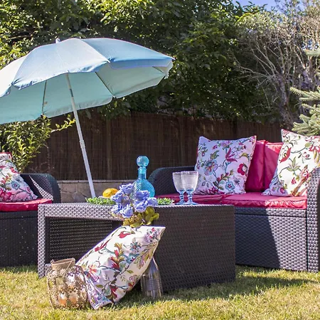 Luxury Singular Rosa * Padrón