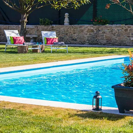 Luxury Singular Rosa