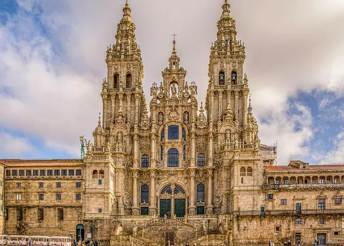 Luxury Singular Rosa Padrón